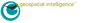 Geospatial Intelligence Pty Ltd