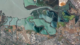 Alviso Salt Ponds, San Jose, California • June 28, 2014